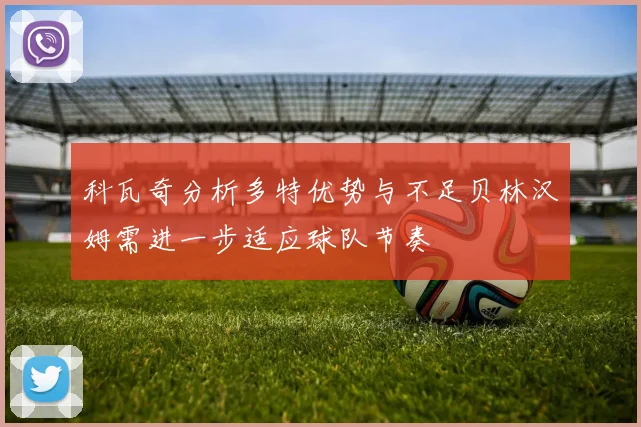 科瓦奇分析多特优势与不足贝林汉姆需进一步适应球队节奏