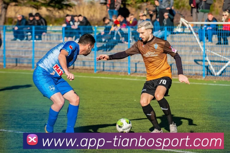 未来规划