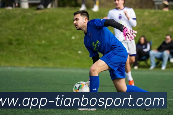 App Interface Preview