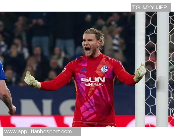 沙尔克04在德乙中表现出色卡里乌斯守门稳健15场比赛零封8次